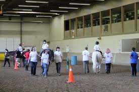 Children riding horses